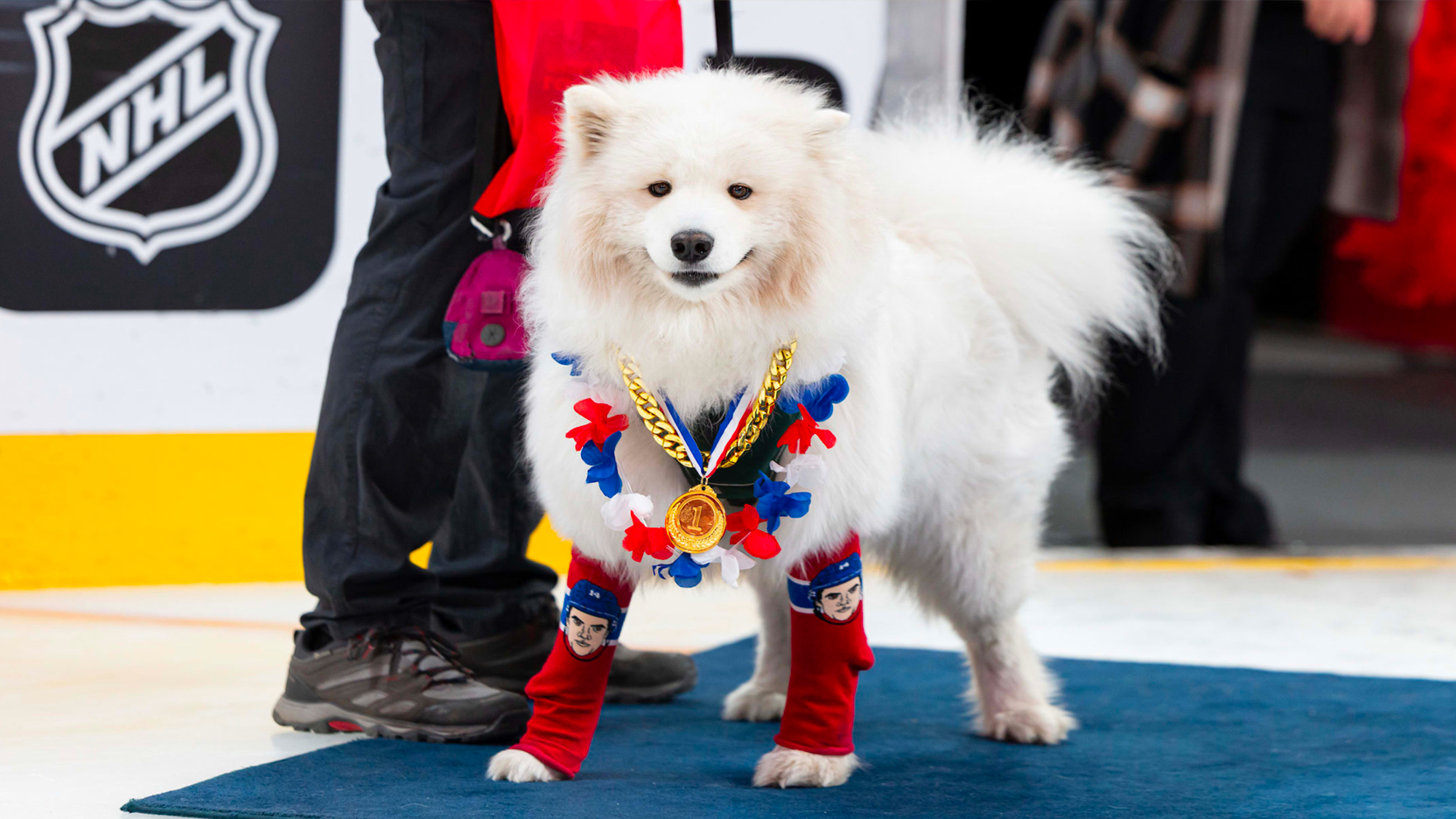 Événement passé: Festi-chien au Centre Bell – 3 mai, 2025