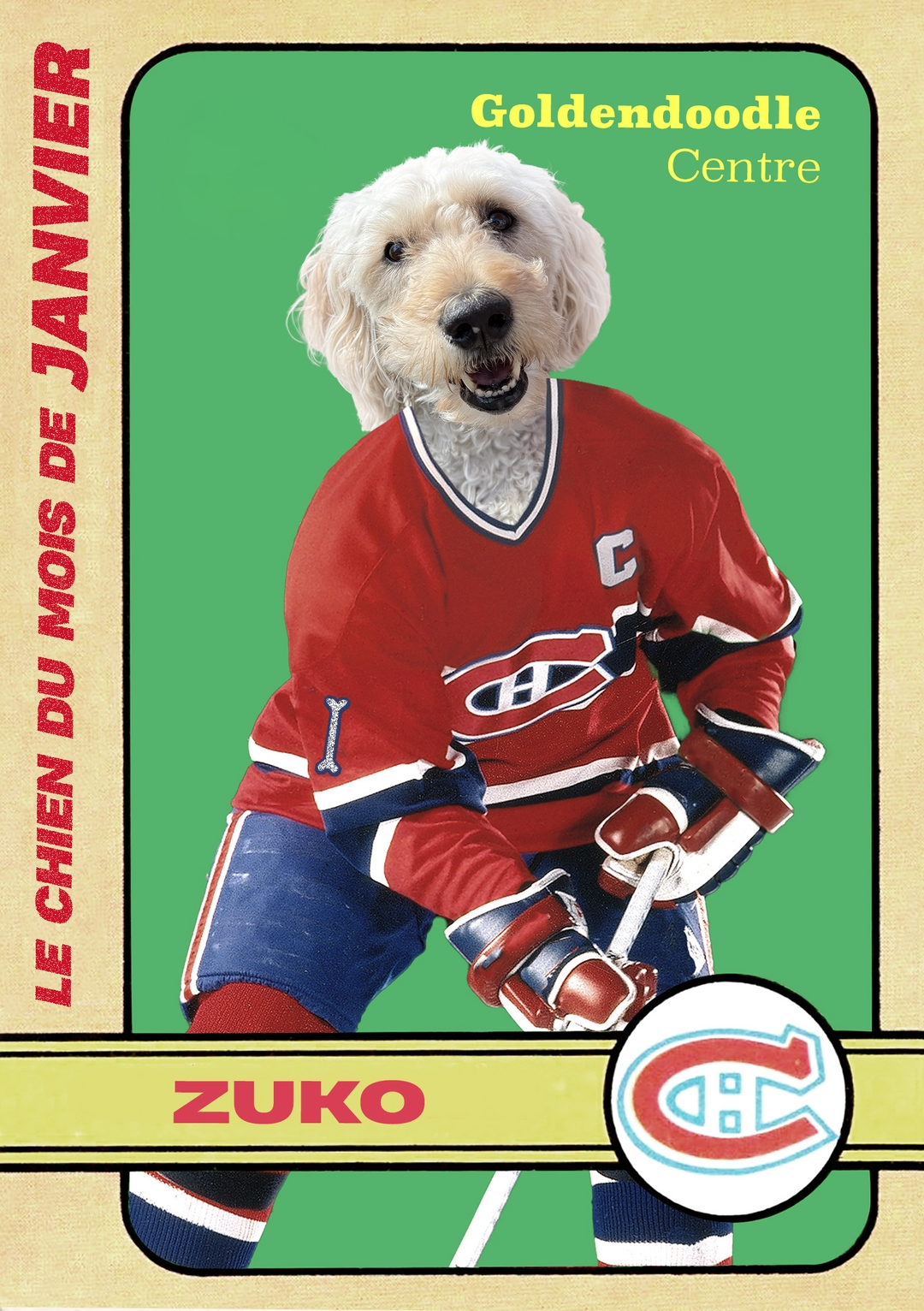 Janvier